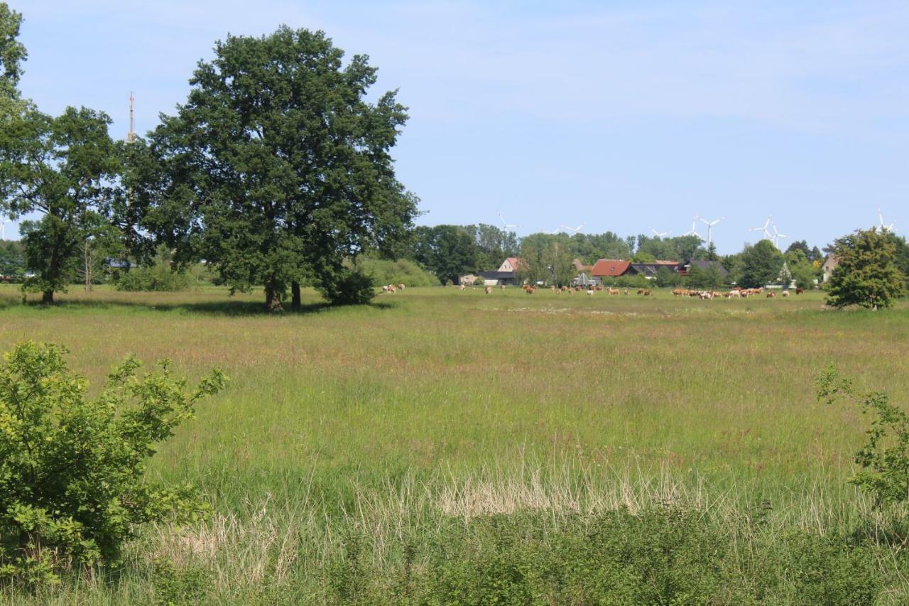 Spreewald Ferienwohnung Luebben Екстериор снимка